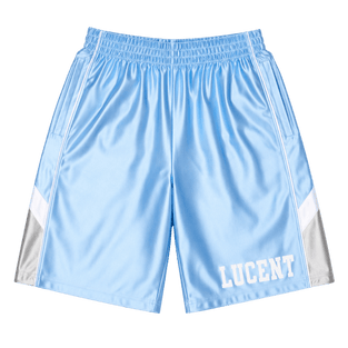 Varsity Satin Shorts