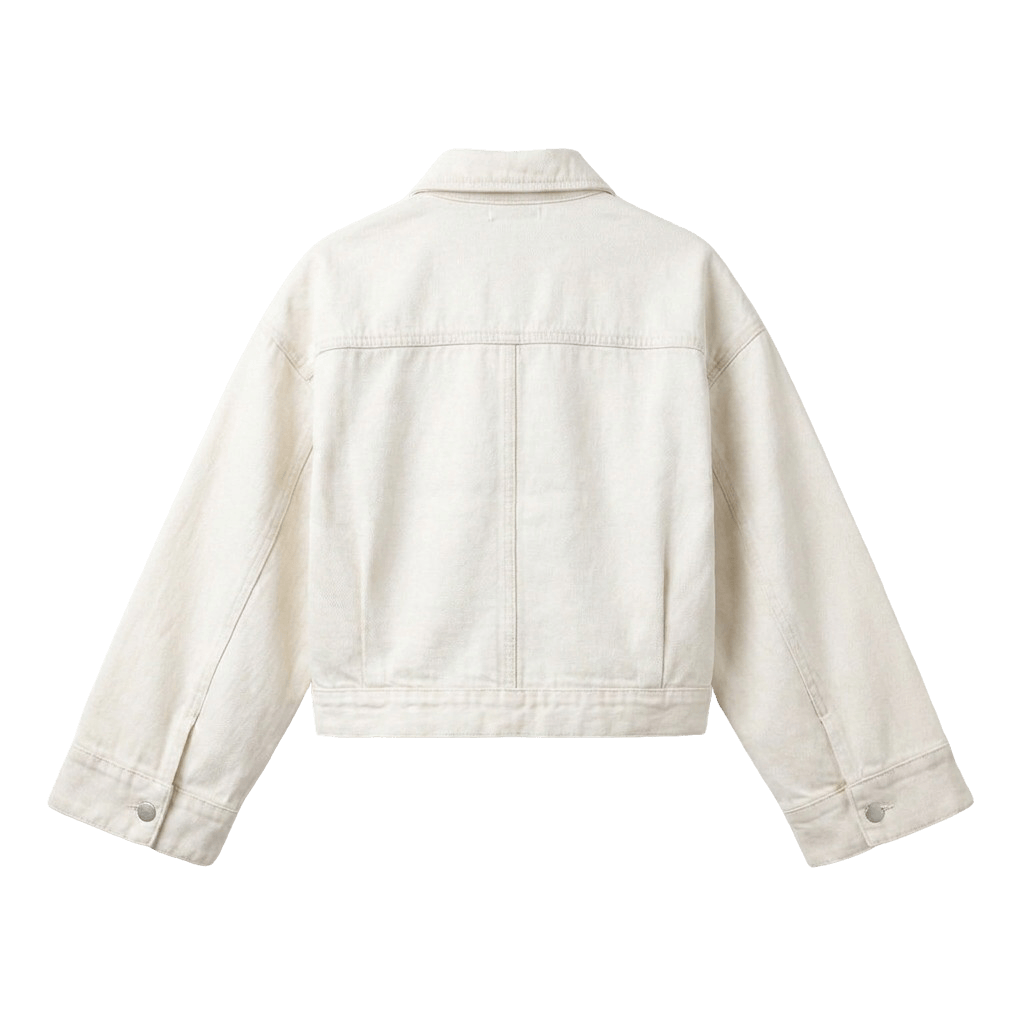 Aero Crop Denim Jacket